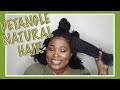 DETANGLE NATURAL HAIR BEFORE WASHING | THICK, DRY & MATTED!!!