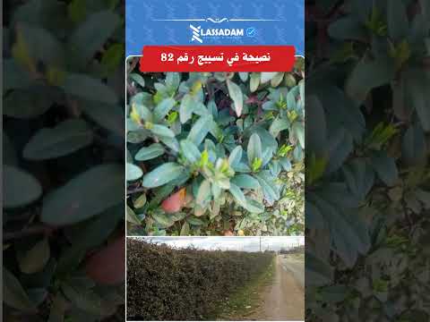 تسييج الارض بالاشجار