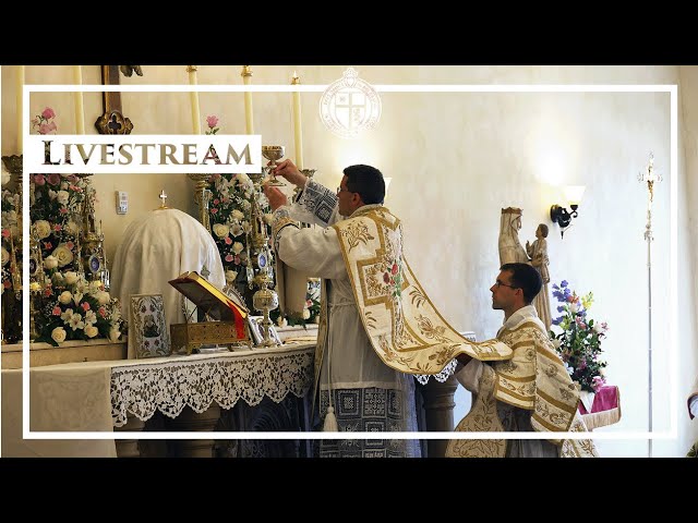 Watch Solemn High Mass - Third Sunday after Easter - 3/26/26 on YouTube.