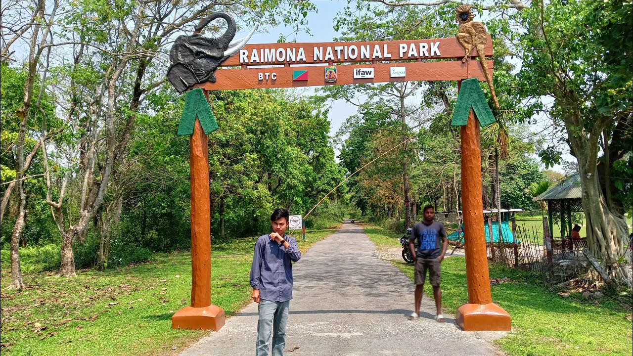 raimona-national-park-assam-with-tunlai-youtube