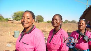 Mwana ishudu kikundi cha serikali