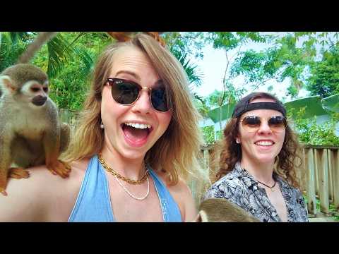 There's A MONKEY On My HEAD! - *Punta Cana Vlog* - Hailee And Kendra thumbnail