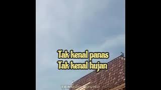Petualang ( Ali Usman )