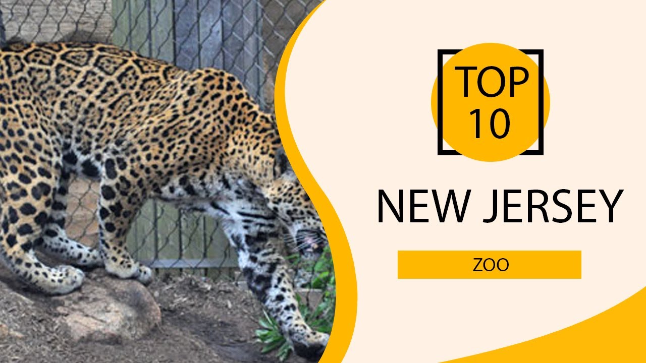 Top 10 Best Zoo to Visit in New Jersey USA English YouTube