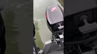 Mercury 9.9 pro kicker