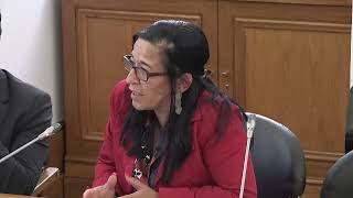 12-05-2026 | Audição da Federação dos Sindicatos da Administração Pública | Rosa Isabel Cruz 2ª