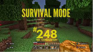 Minecraft Survival Mode Episode 248 No Commentary