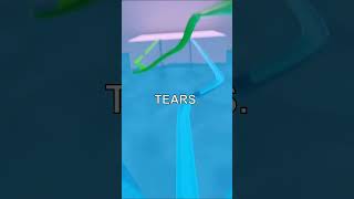 What If You Cry In The Backrooms?