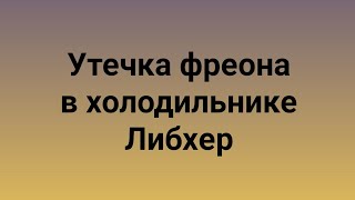 Утечка фреона в холодильнике Либхер. Дырка в боковой стенке морозилки.