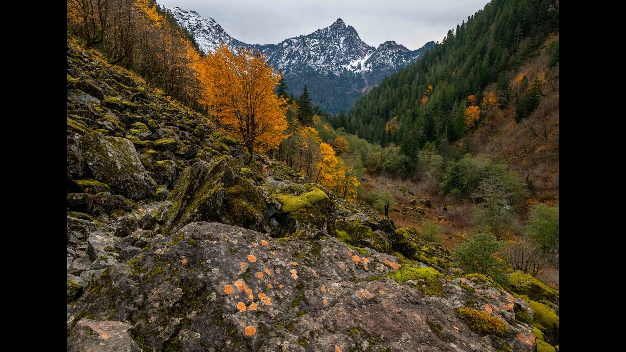 Perry Creek HIKING, Mt Baker-Snoqualmie National Forest, Mountain Loop Highway, WA - Oct 2025