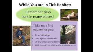 Protect Yourself from Ticks Where You Work