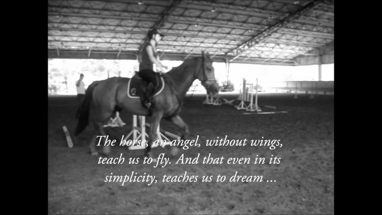 Without Limits..Horses passion.