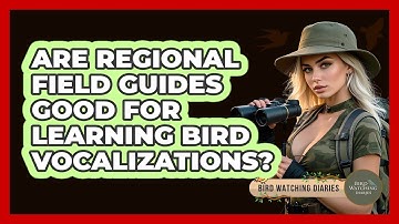 Are Regional Field Guides Good For Learning Bird Vocalizations? - Bird Watching Diaries
