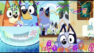 Bluey Season 3 - Faceytalk Phone Falling In To The Pool Scene