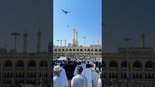 Prophet Muhammadﷺ Sallā -Llāhu Alayhī Wa Sallam