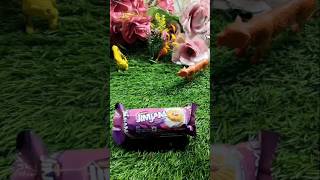 Jimjam Biscuitreview Asmr Biscuit