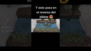 billete de 50 pesos