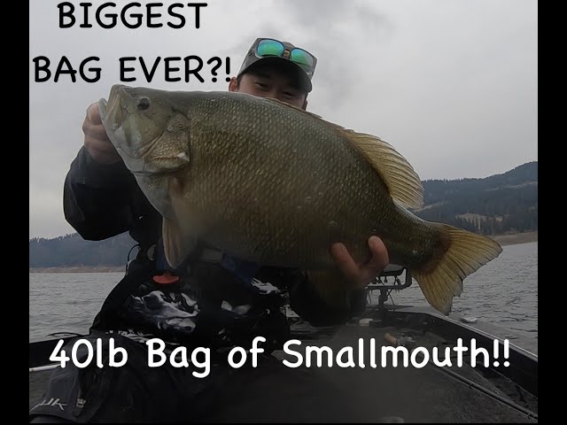 Monster Smallmouth Madness: 40 Pounds of Smallmouth with Double 8  Pounders!!!! 