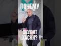 Почему скулит @Husky4x4?