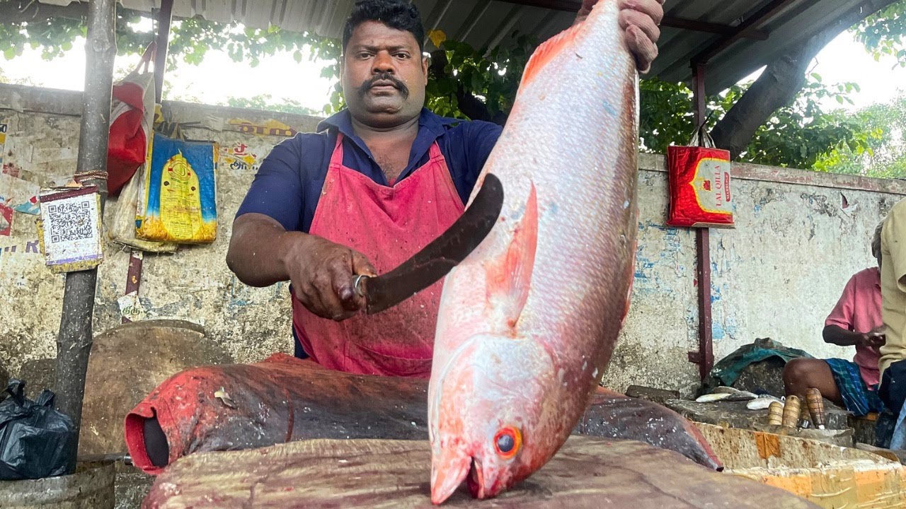 KASIMEDU SELVAM RED FISH CUTTING VIDEO | UK SONS MARINE