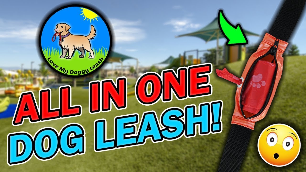 BEST DOG LEASH Love My Doggy Leash Commercial YouTube