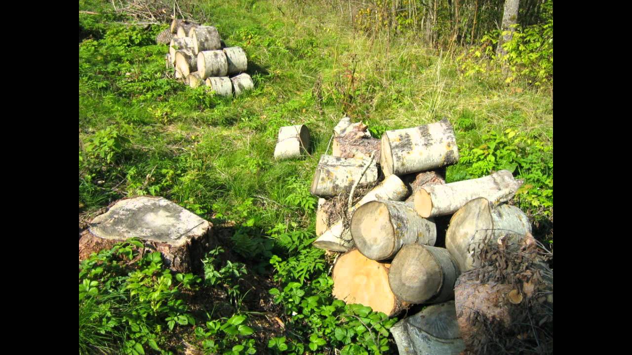 наша_фирма.wmv - YouTube