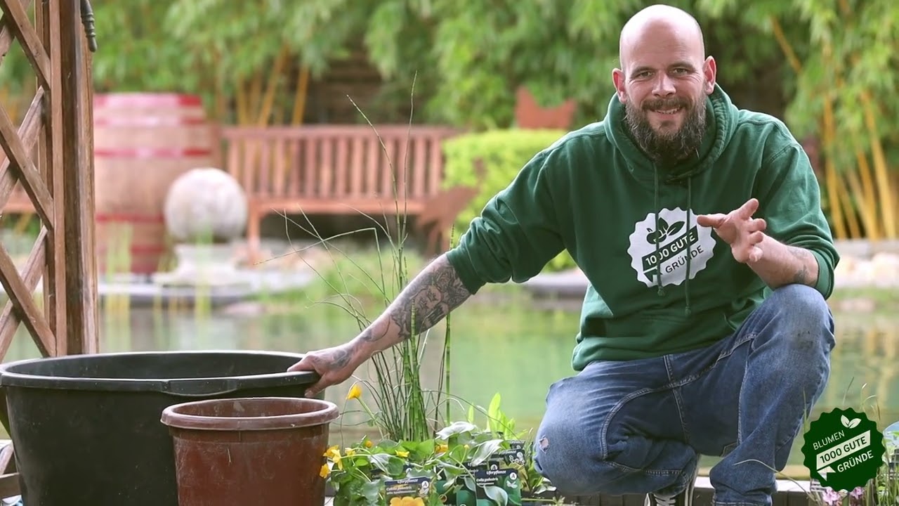 Tristan rockt den Garten - Wasserpflanzen