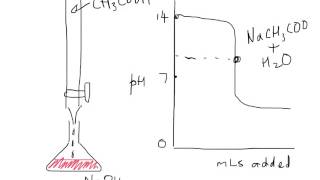 Stage 3 Chem Stawa Expt 16 Q 8