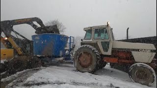 Dairy Farming in a Blizzard
