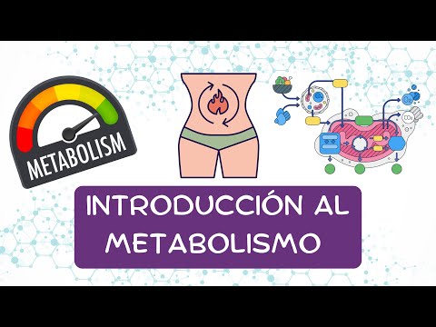 INTRODUCCIÓN AL METABOLISMO