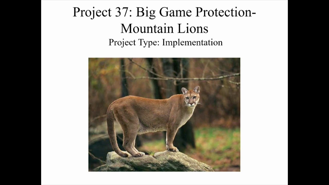 2020 NDOW January Commission Meeting Agenda Item 17-18D - YouTube 2020 NDOW January Commission Meeting Agenda Item 17-18D - YouTube