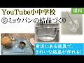 YouTube小中学校 ⑮ 理科の実験   ミョウバン の 結晶