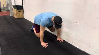 Quadruped Single Leg Abduction Wall Press