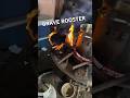 BRAVE ROOSTER . @slshorts4986