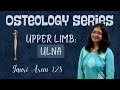 CRACK THE BONE | PART 5 | ULNA