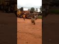 Masquerade chasing people in Africa