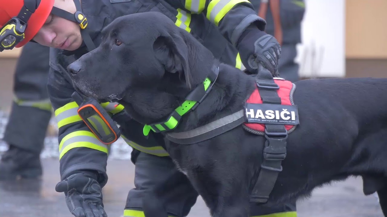 Fakulta bezpečnostného inžinierstva UNIZA - Deň otvorených dverí 2018