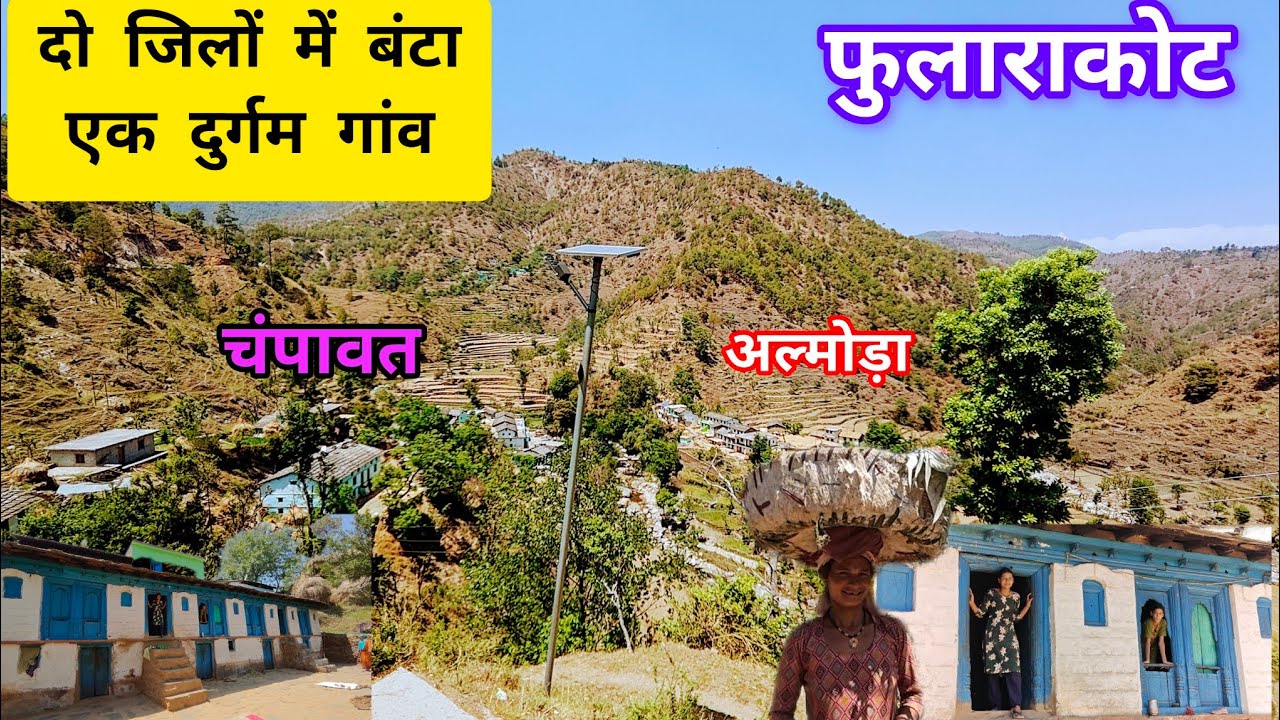 2 जिलों में बंटा एक खूबसूरत दुर्गम गांव-फुलाराकोट#utrakhandiculture #uttarakhandsanskriti #travel
