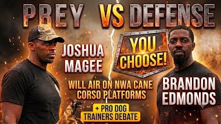 Prey vs. Defense: The Ultimate Protection Dog Training Debate @zydecokennels @The_Pack_Master 