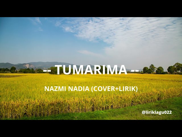 Tumarima - kunkun ( cover+lirik) class=