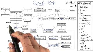 Concept Map 2 Returns - Tales from the Genome