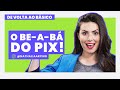 TUDO SOBRE O PIX EM MENOS DE 8 MINUTOS! (De Volta ao Básico pra compartilhar no WhatsApp!)