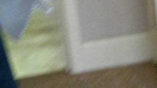 Nelson The Elephant Jumps Off Cliff