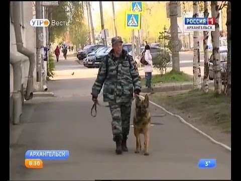 В Архангельске трое преступников, которые сбежали из зала суда, задержаны В Архангельске трое преступников, которые сбежали из зала суда, задержаны