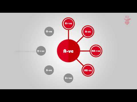 Blood Donation | Animated Explanation I Adobe After Effects | Adobe Photoshop