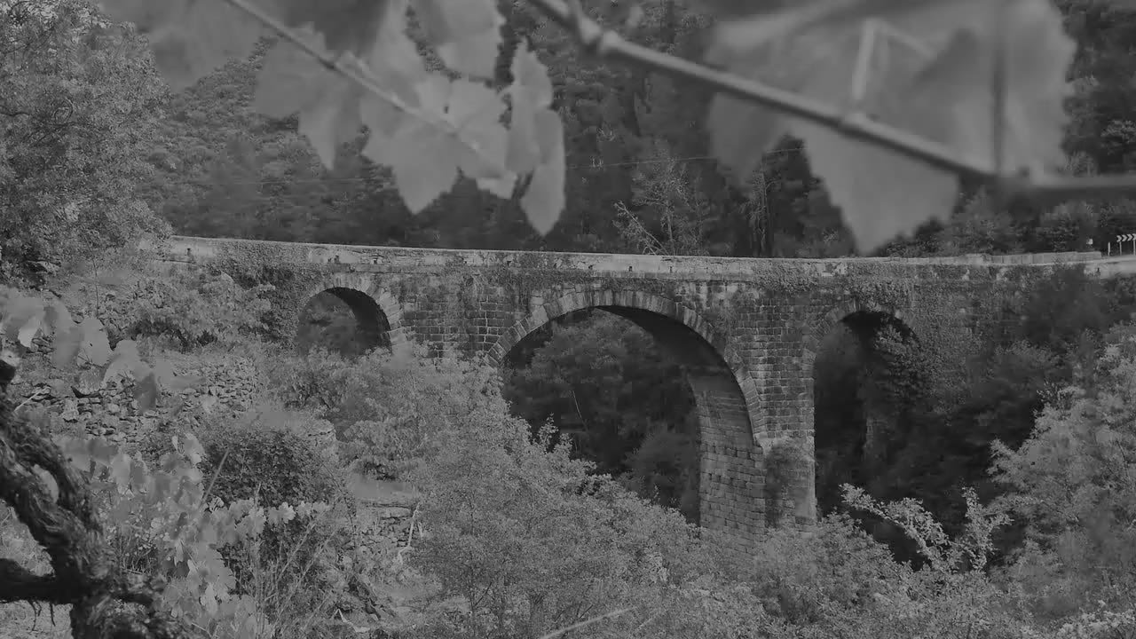 Regulatory Council - D.O. Valdeorras