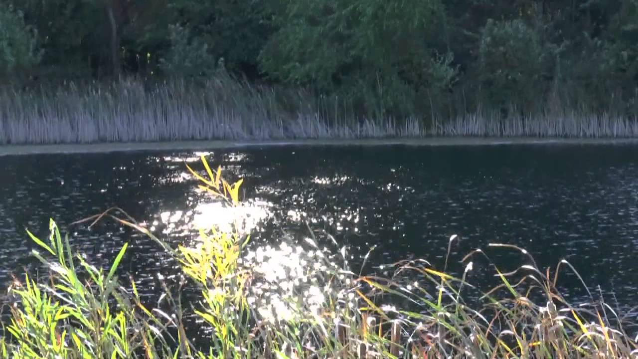 Karen Frazier : I Love You Lord