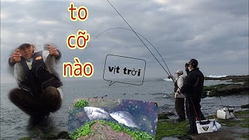 Câu cá biển ngày biển động cùng thánh câu cá và sư phụ và cái kết| NDK Vlogs