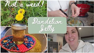 Eating Dandelions! | Delicious DANDELION JELLY by From Mamaw's Kitchen 898 views 2 months ago 9 minutes, 37 seconds