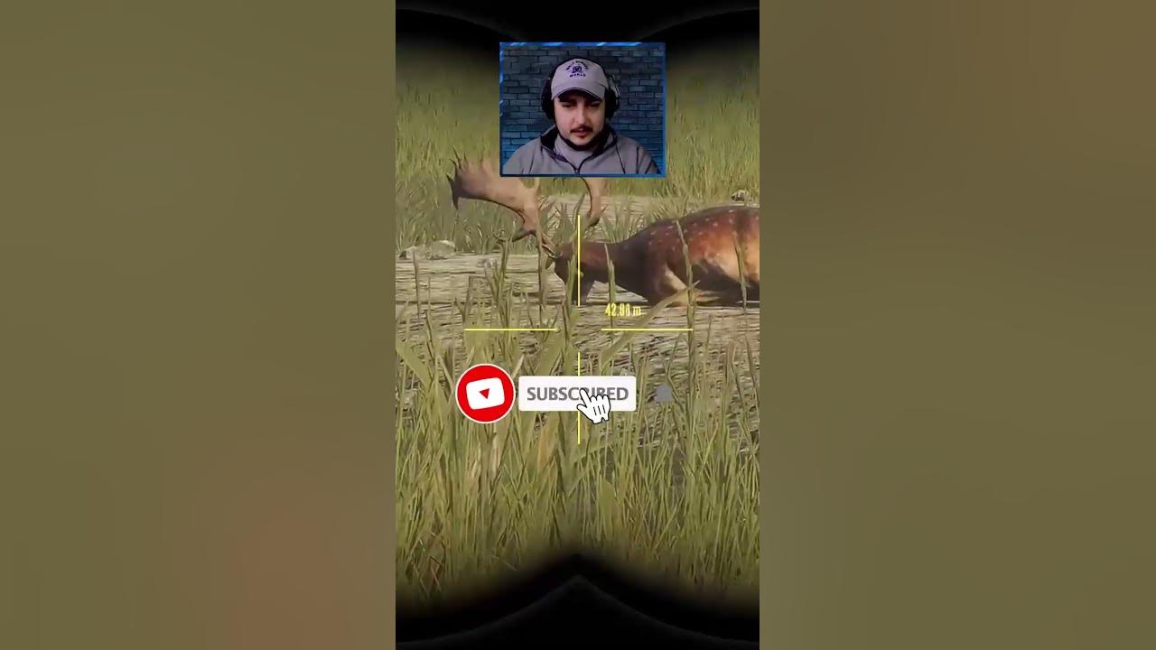 diamond-fallow-deer-in-thehunter-call-of-the-wild-cotw-youtube